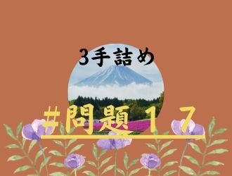 3手詰の問題17