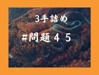 3手詰の問題45