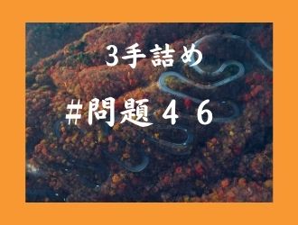 3手詰の問題46