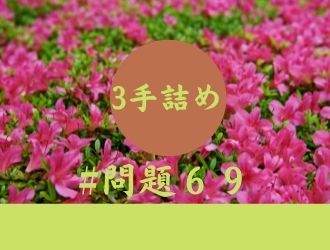 3手詰の問題69