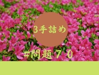 3手詰の問題70