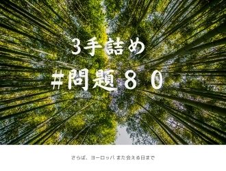 3手詰の問題80