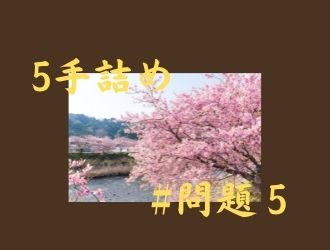 5手詰の問題5